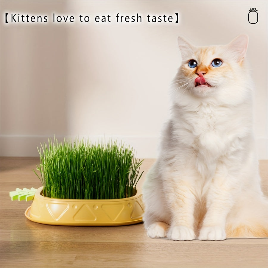 Modern plastic cat grass tray with two separate layers, polished finish, and multiple components for growing grass and malt for pets.