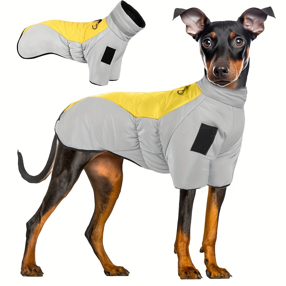 Waterproof winter dog jacket with warm, reflective material and D-ring for medium breeds.