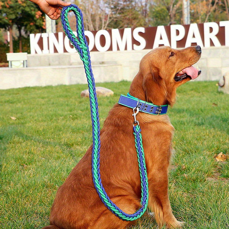 Heavy duty dog collar and leash set with braided training leash.