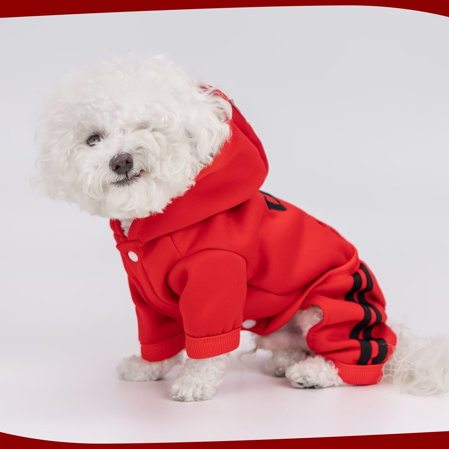 Winter dog hoodies with pockets and embroidery, perfect for small to medium dogs. Size up advised.