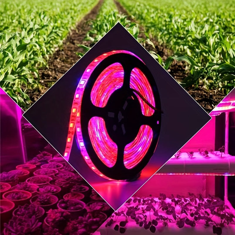 Fitolampy Full Spectrum LED Grow Light Strip emits pink light ideal for indoor and greenhouse plant growth, with 60 Lumens/m and USB powered.