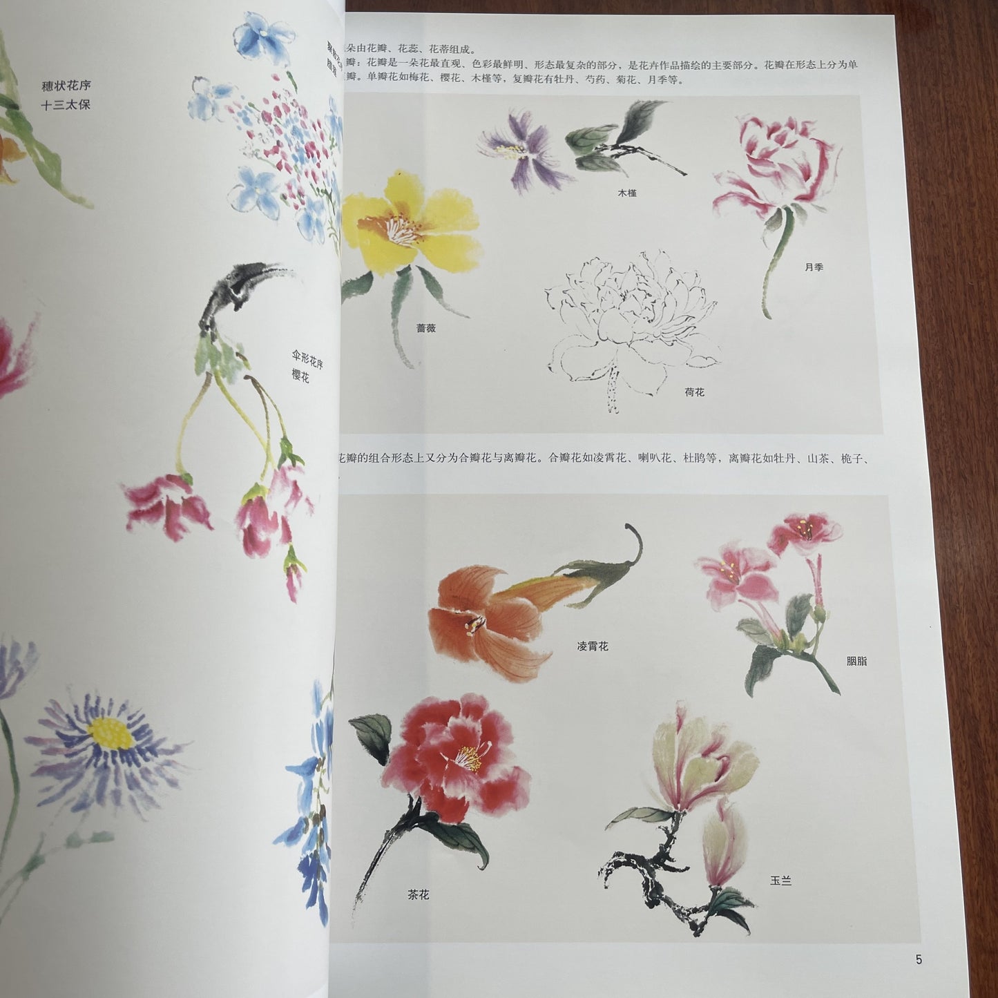 Step-by-step guide on traditional Chinese flower painting techniques by Tianjin Yangliuqing Hua She. Simplified Chinese edition, published on 2018-01-01. Suitable for all ages.