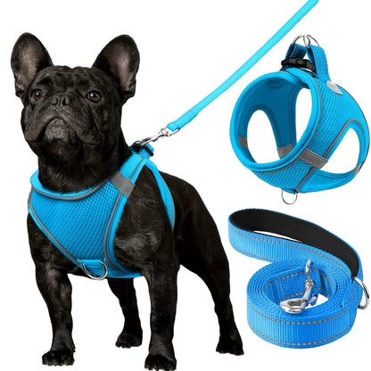 Joytale Reflective Dog Harness and Leash Set for small to medium breeds. Comfortable mesh vest with padded nylon lead, dual D-ring, poop bag dispenser.