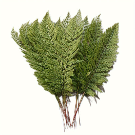 Artificial greenery set for home & office, featuring realistic Persian grass, Boston ferns, and green leaves for indoor/outdoor decor.