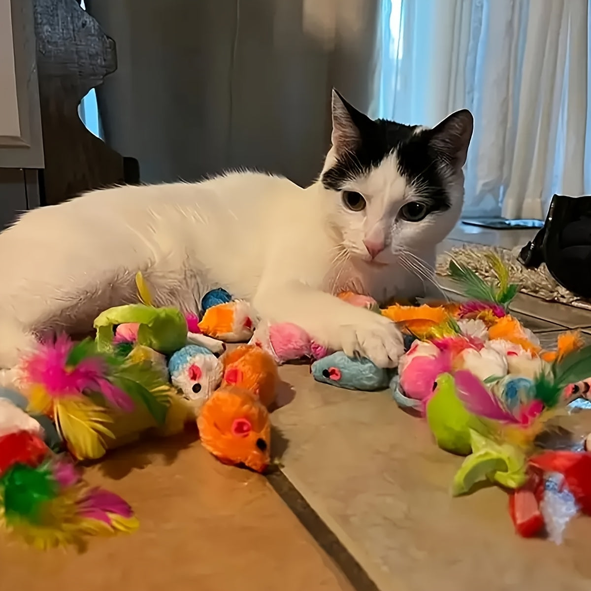 Mixed pack of 200/64/32/16 cat toys, including plastic and plush toys for multiple cats. Variety allows for different toys daily. Randomly shipped in various colors, styles, shapes, and