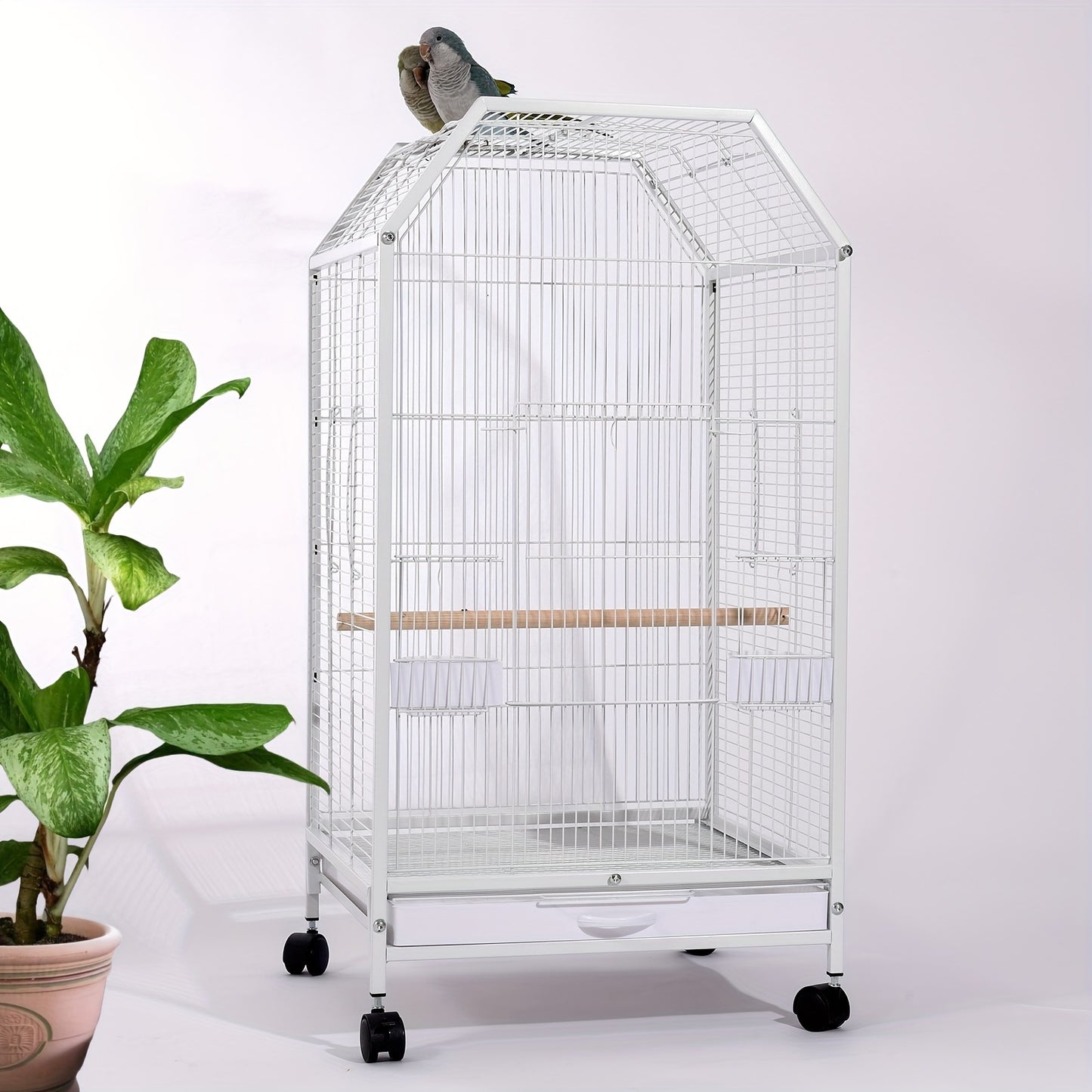 Metal bird cage for small to medium parrots, ideal for home and pet use, includes perch, feeder, water cup, and window.