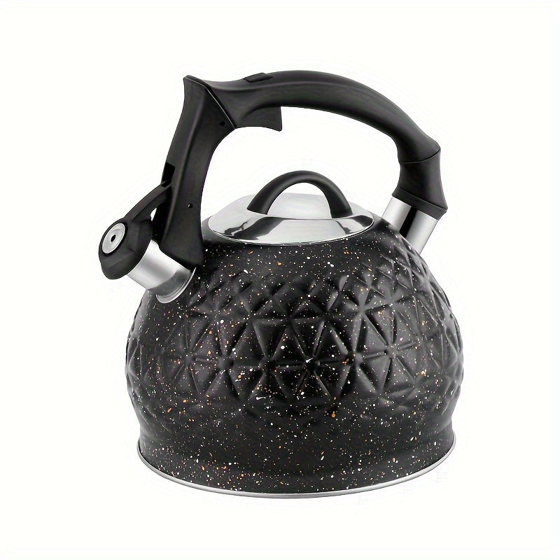 3L Stainless Steel Whistling Tea Kettle for Stovetop, Gas, Electric Induction - HausRoland, No Electricity Required