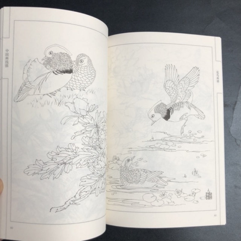 Chinese version of Flower and Bird Painting Manual with Line Drawings