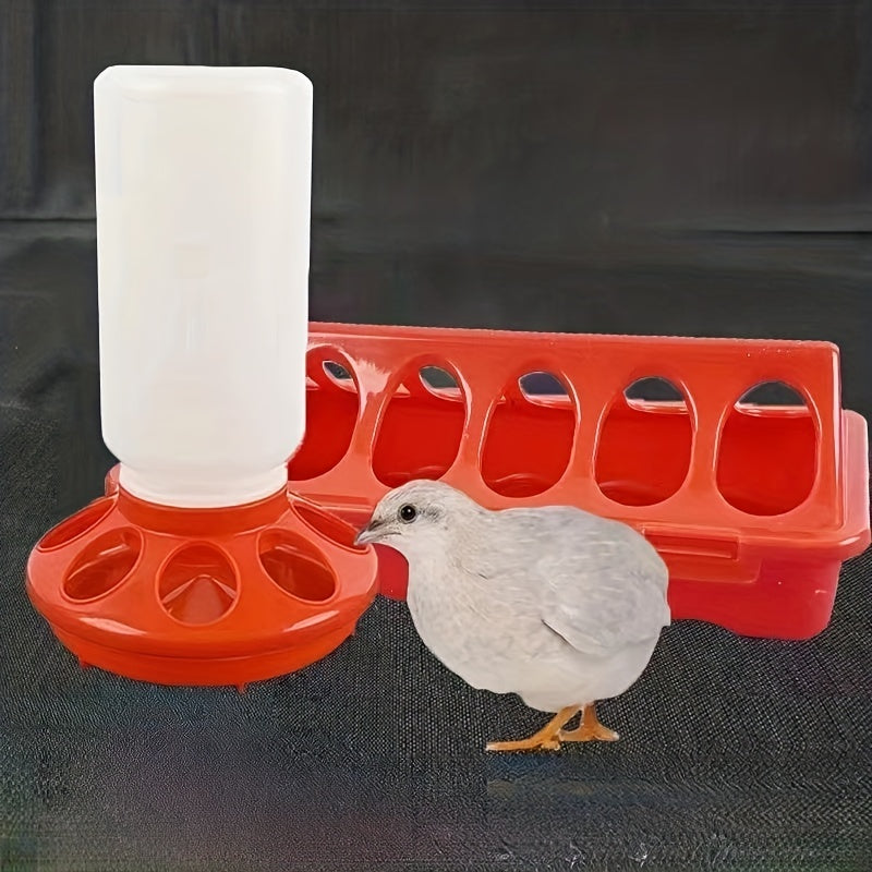 Automated poultry water jug for chickens, birds, pigeons, and quail in red and white color.