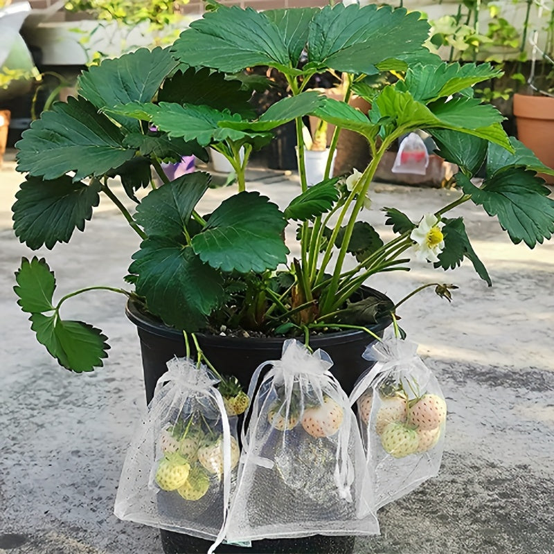 Insect-proof bags for fruits and vegetables available in packs of 20 or 50. These bags are designed to keep fruit flies and birds away from strawberries, figs, grapes, and other fruits. Each bag comes with a drawstring closure and is made from