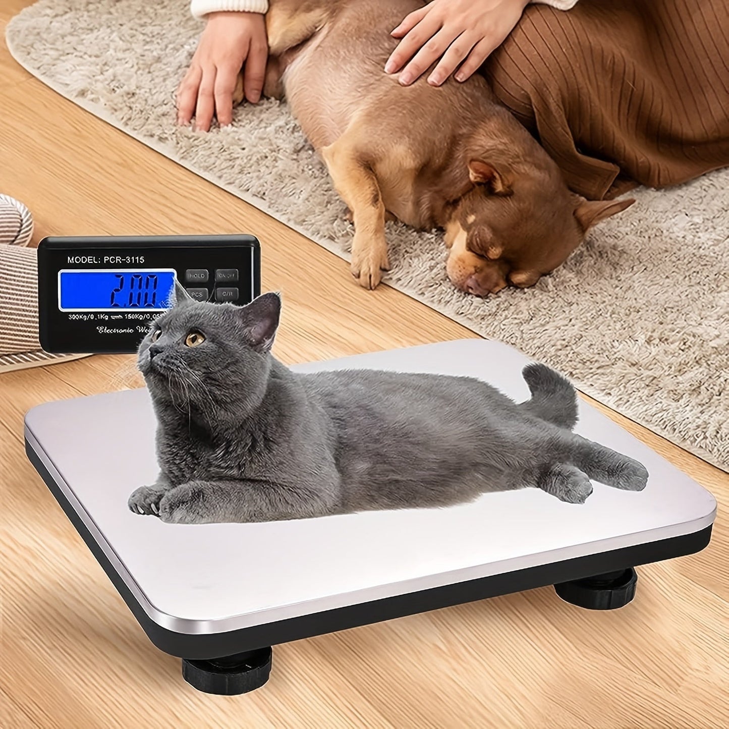 Digital Scale with LCD Backlight Display - 300KG Electronic Postal Scale, Stainless Steel Floor Scale, Portable Shipping Scale, Precision Integrated for Shipping - Useful Tools