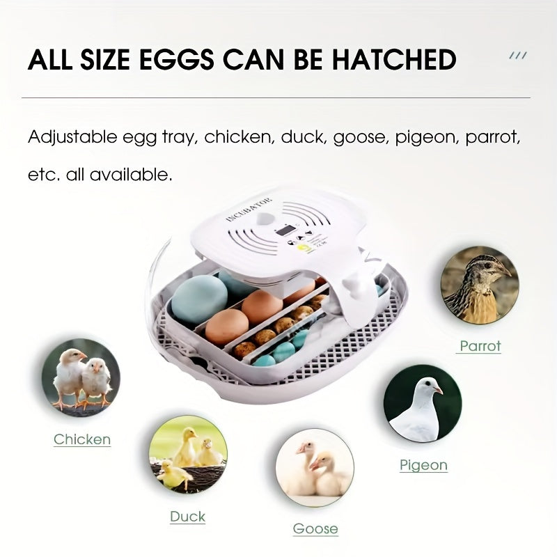 Fully automatic 16 egg incubator with turning and humidity control for incubating various types of domestic animal eggs.