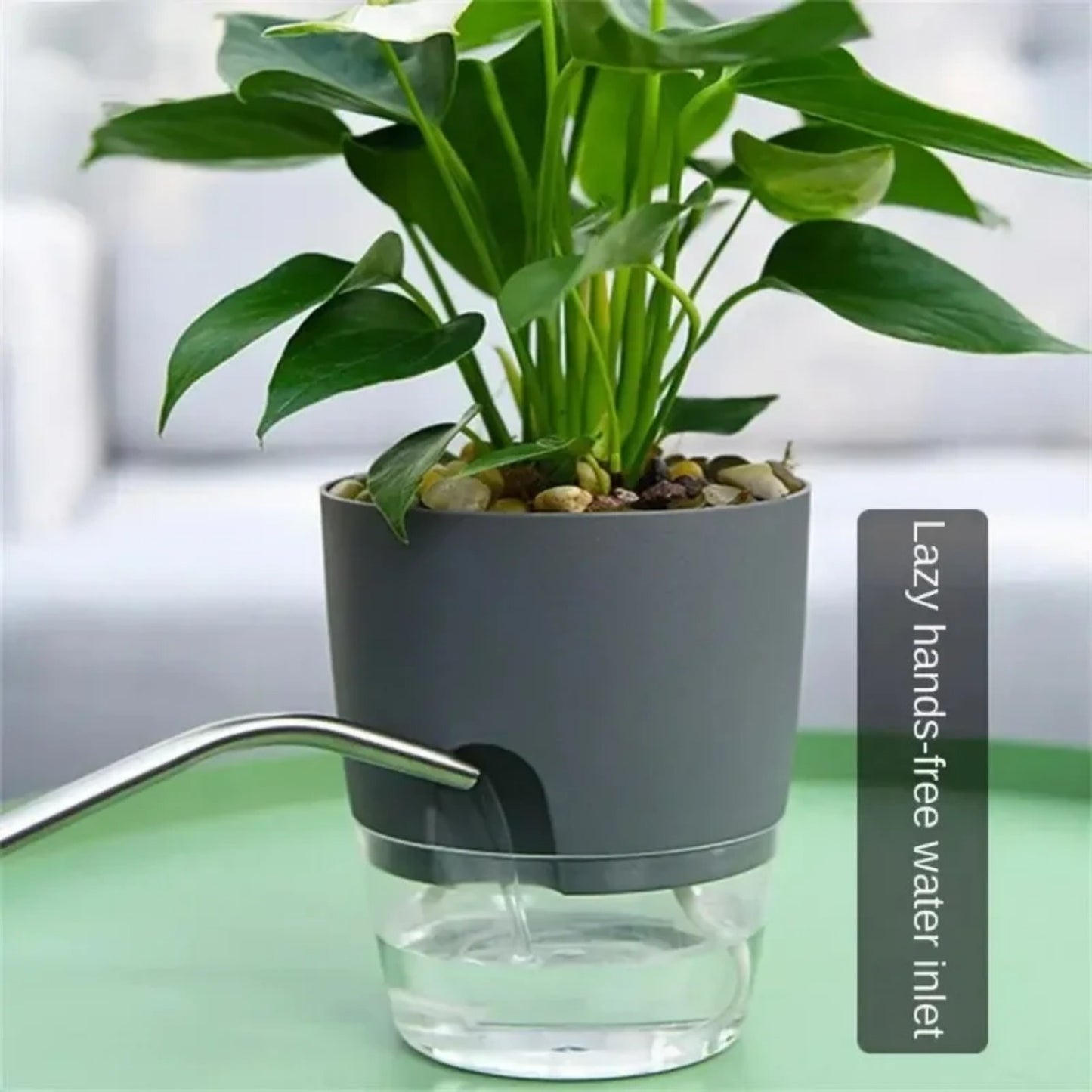 6 self-watering planters with double layer design, lightweight plastic pots, rope system, and easy injection port for indoor gardening.