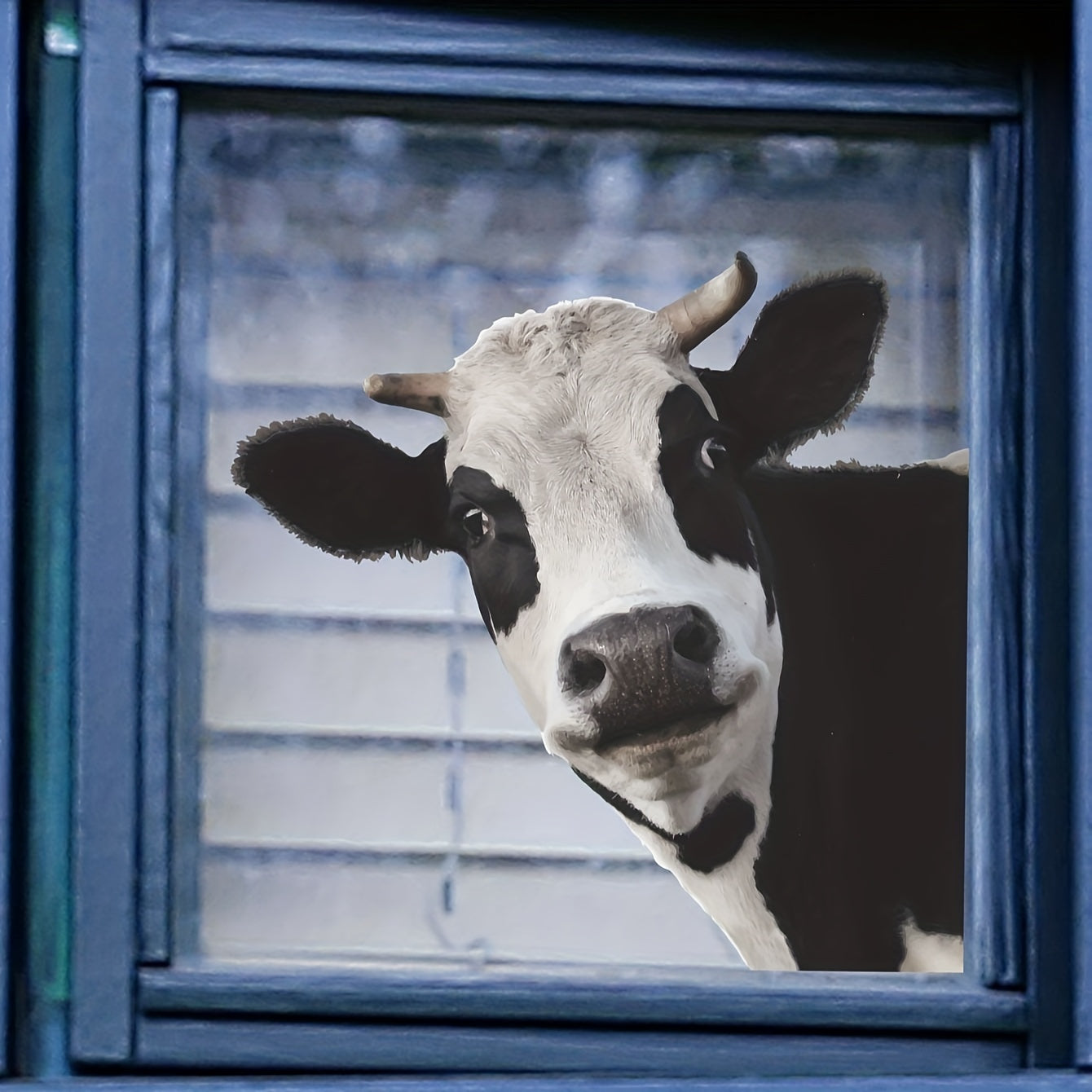 One piece of Animal Theme Cow Pattern Window Sticker, made from removable waterproof vinyl. Perfect for decorating walls, doors, and windows in living rooms, kitchens, and stores. Dimensions: 38.0 x 38.99cm. Ideal for home decoration.