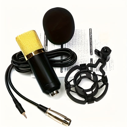 Condenser microphone for live game singing.