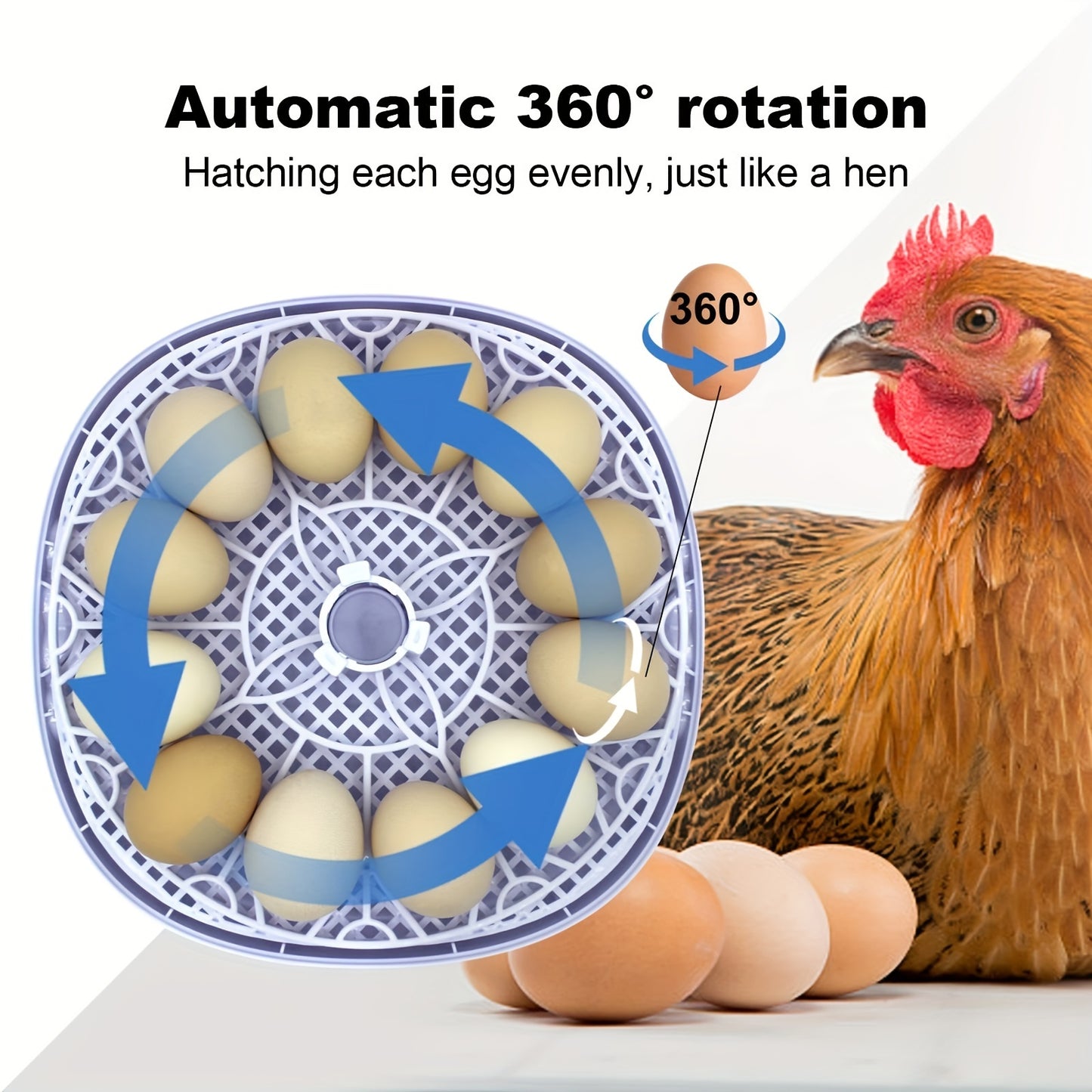 12-egg incubator with automatic turning and temperature control for hatching various bird eggs, suitable for industrial scientific lab use with 220V-240V power supply and European plug.