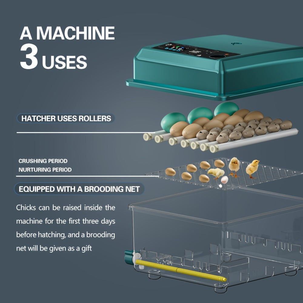 16-egg automatic incubator with auto turn, humidity control, adjustable spacing, pulse heat, cold light turning, Celsius display. Ideal for various eggs including duck, pigeon, bird, quail