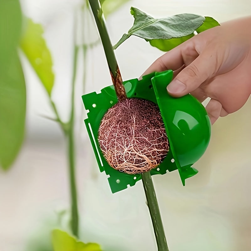 5 root growth boxes for high-pressure plant propagation, air layering, and grafting of plant cuttings in garden trees.