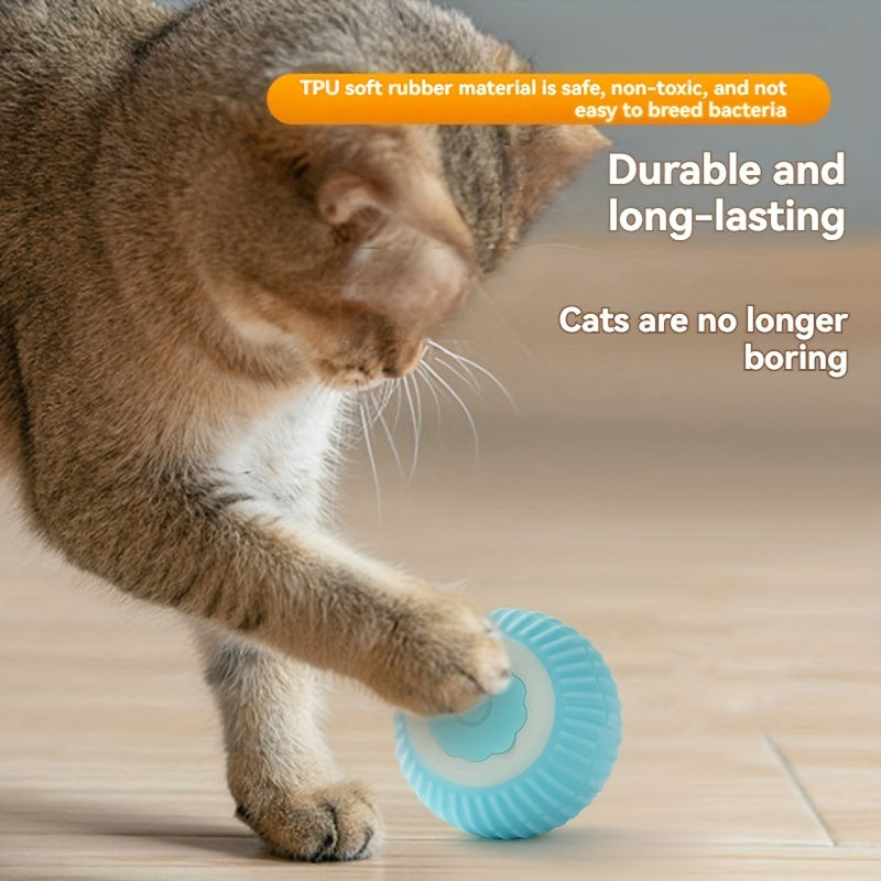 Rechargeable, USB-powered cat toy with automatic rolling ball and teaser stick for indoor cats.