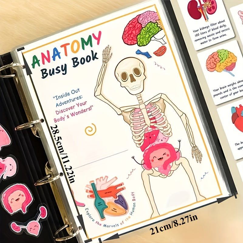 1pc Human Anatomy Busy Book - Interactive Organ Matching Activity, Educational Birthday Gift for All Ages, Quiet Travel Edition