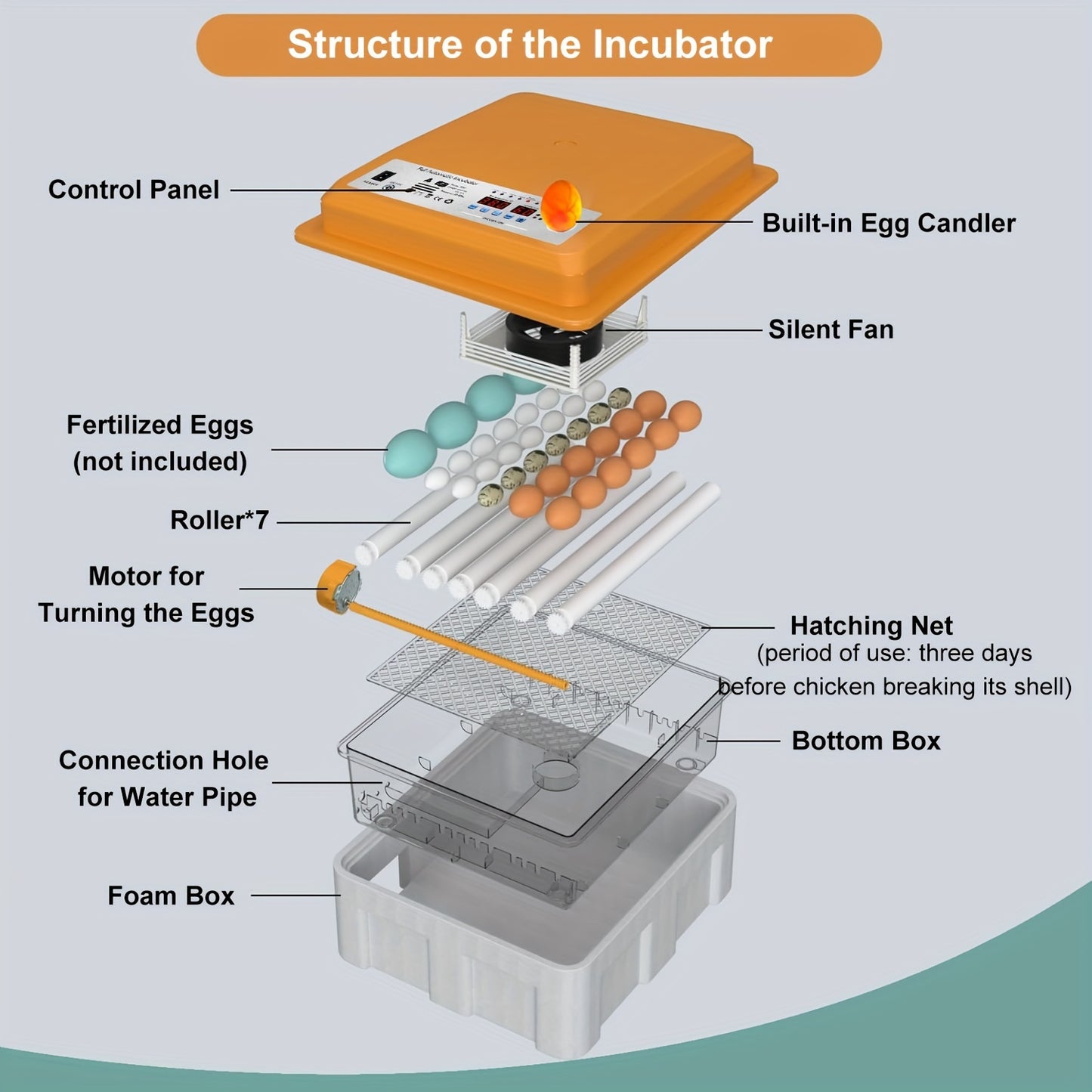 CoInceptus Automatic Egg Incubator with LED Display - Controls Humidity & Temperature, Holds 36 Eggs, Rotates Automatically, Includes Egg Light - Orange