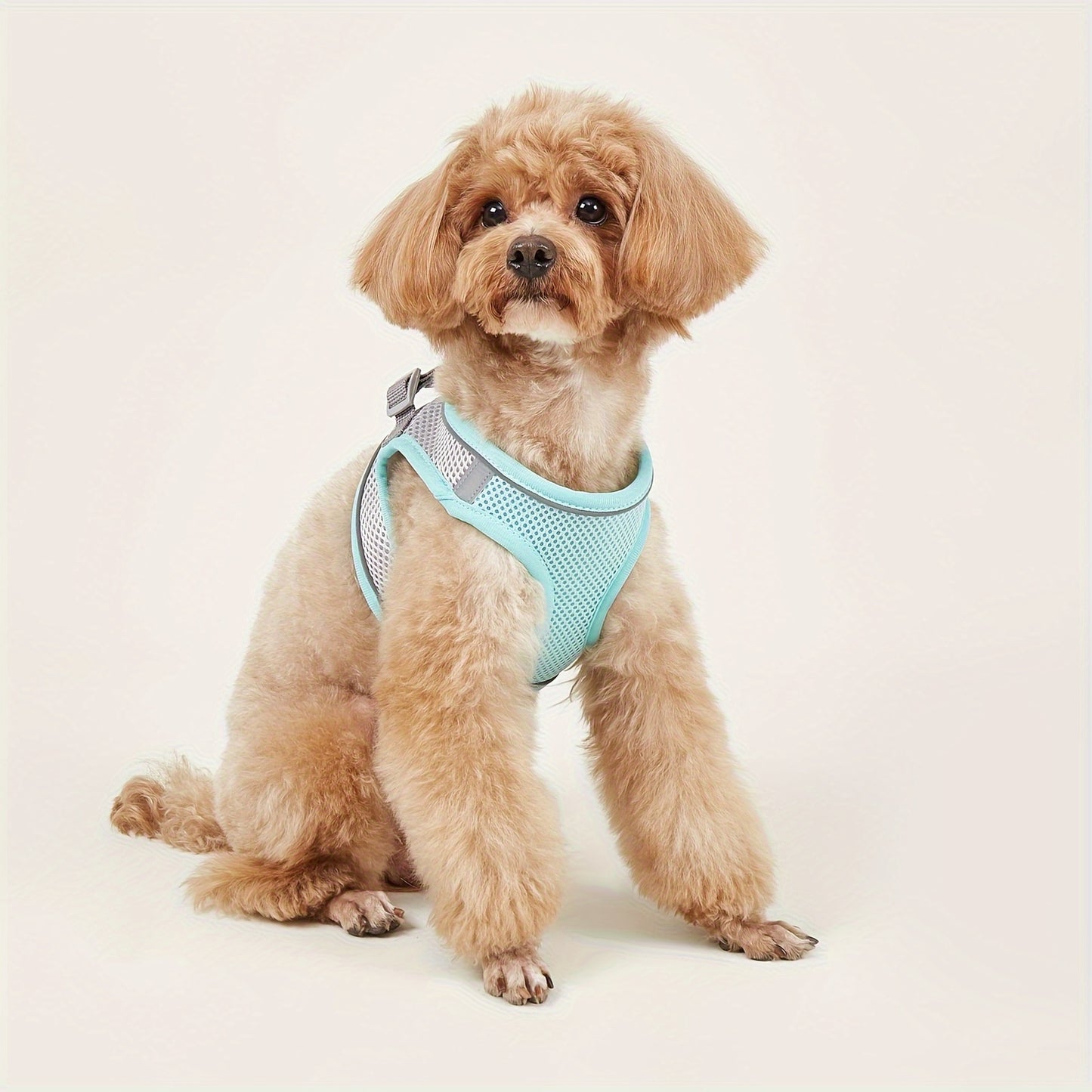 Soft mesh pet harness with reflective strip for small cats and dogs, providing comfort and safety.