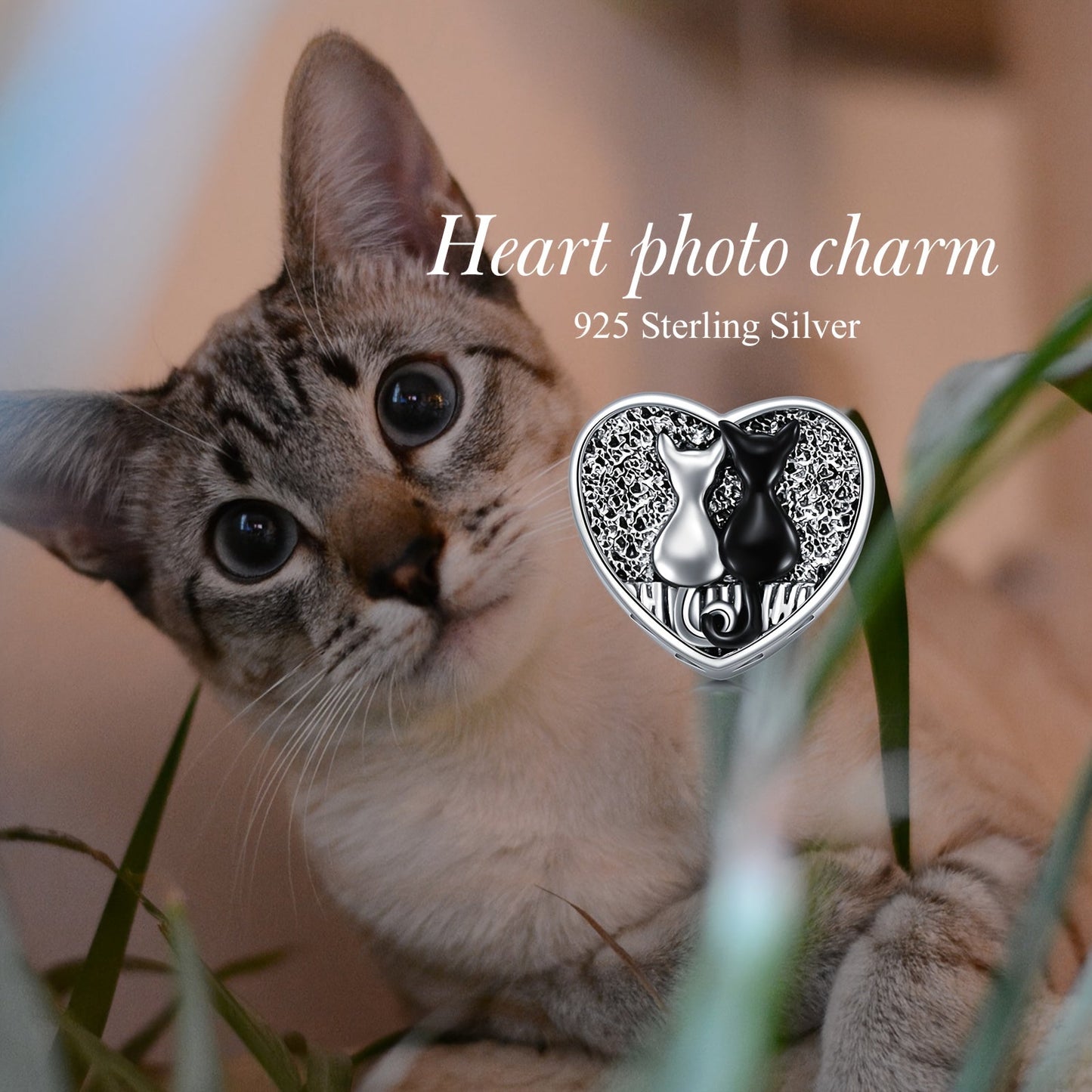 Heart-shaped cat charm with photo bead, gold-plated and made of 925 sterling silver. This cute accessory is perfect for daily wear or gifting to women. Suitable for all seasons, this jewelry piece is a unique and stylish choice.