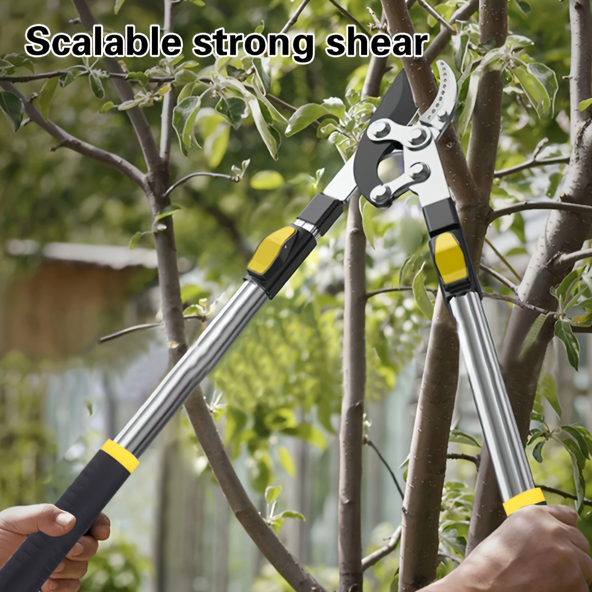 Professional telescopic bypass pruning shears with metal body and ergonomic handle for fruit tree branches, gardening clippers, extendable lopper cutter tool.