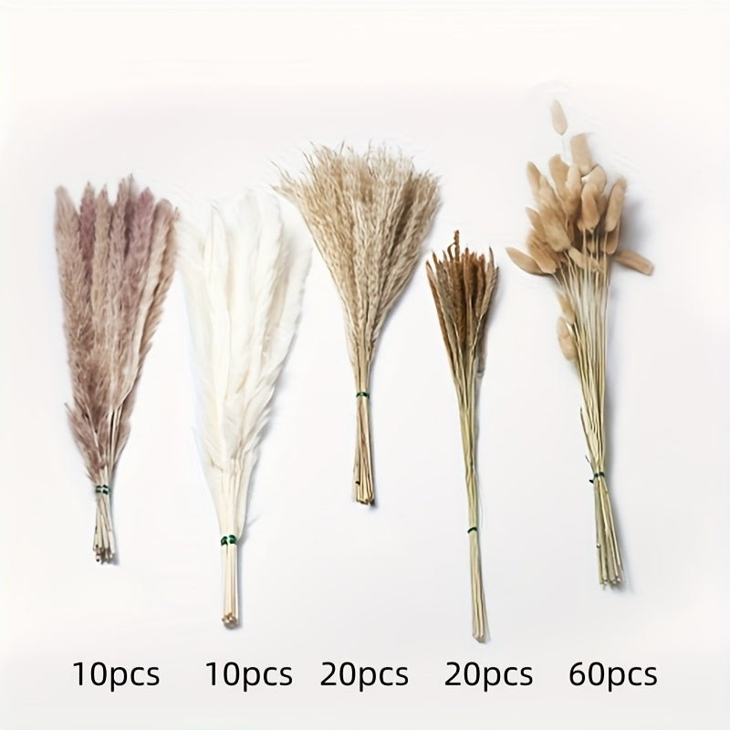 120 pieces of dried pampas grass in natural white and beige varieties for boho home decor, weddings, and office decoration. Perfect for creating an elegant centerpiece with a bohemian touch