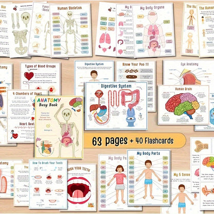 1pc Human Anatomy Busy Book - Interactive Organ Matching Activity, Educational Birthday Gift for All Ages, Quiet Travel Edition