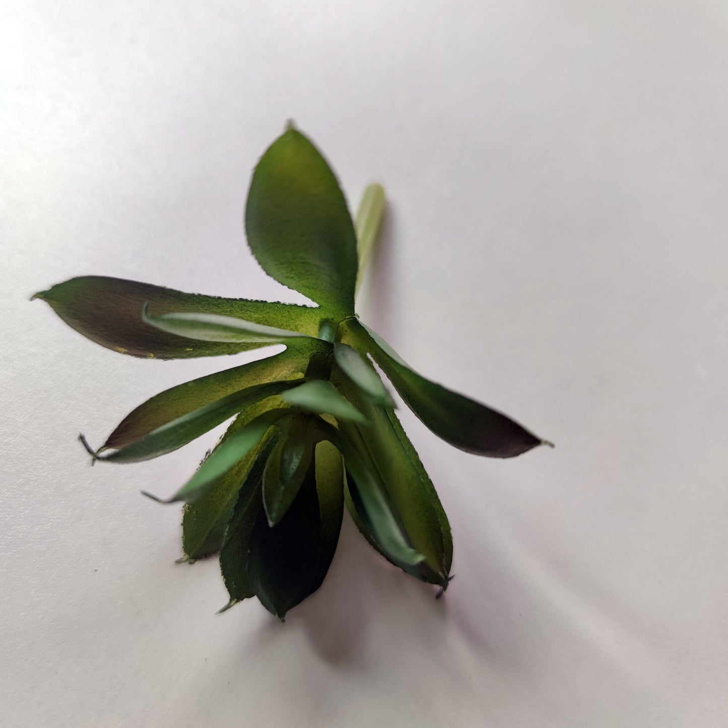 1pc Small artificial succulent plants for home or table decor.