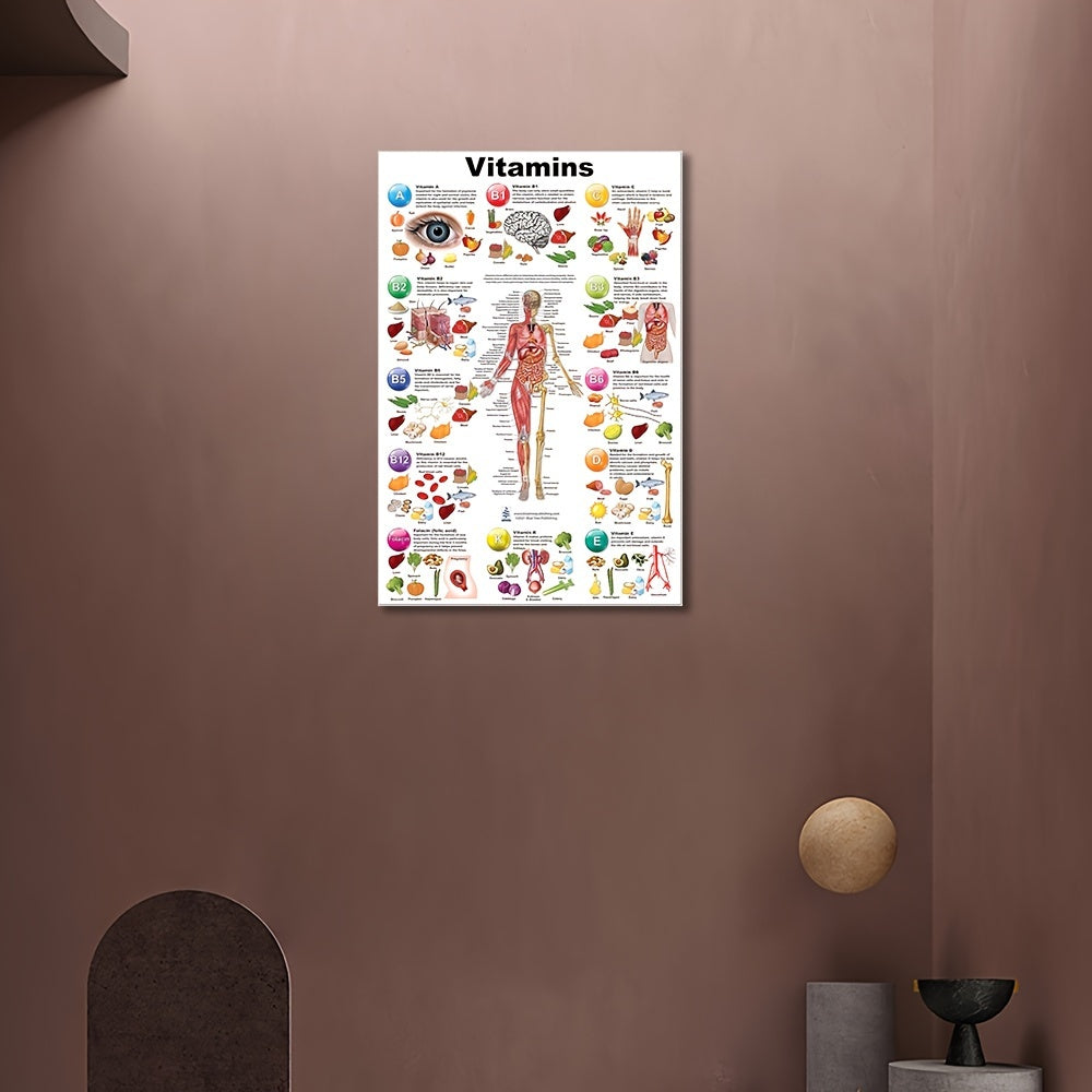 Educational unframed canvas wall art featuring labeled vitamins and anatomy, great for bedroom and living room decor, perfect gift for health enthusiasts.