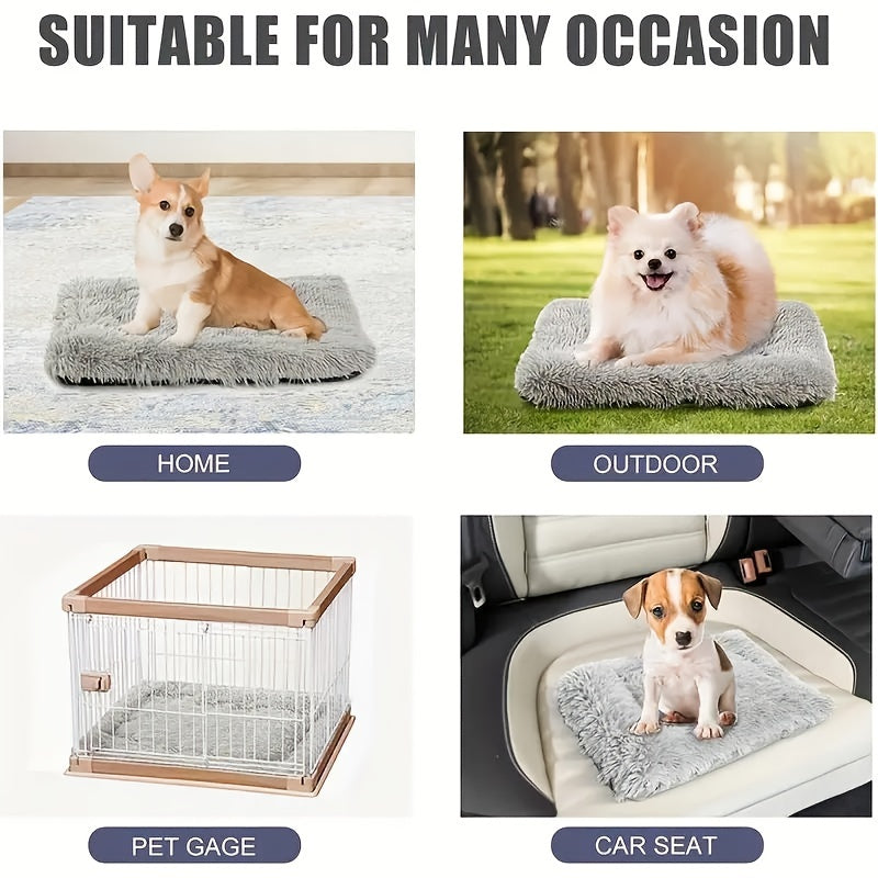 Polyester pet bed with memory foam and odor control for small pets and rabbits, cats, dogs.