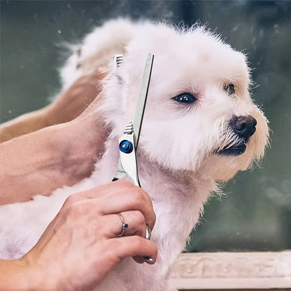 Pet grooming set includes blue trimming scissors, professional grooming scissors, curved scissors and combs, all made of stainless steel for dogs.