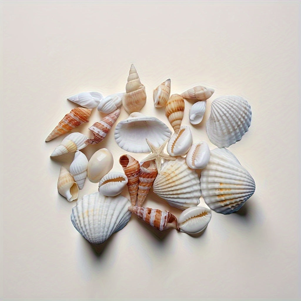 Seashell and conch mix for aquarium decor, DIY fish tank ornaments, and crafts.