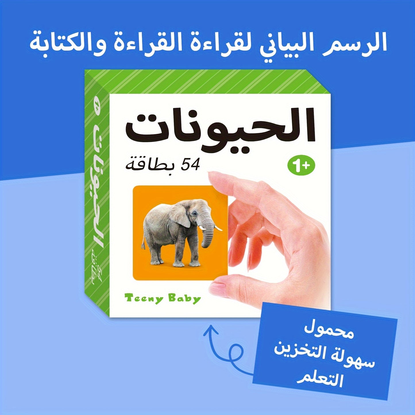 TEENYBABY 54-Card Arabic Language Learning Flashcards for Kids, Educational Animal Cards for Children Ages 1-6, Published by Sunshine Children'S Educational Association on 2023-09-22