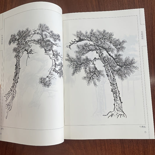 Chinese Ink Drawing - Book of 100 Tree Paintings