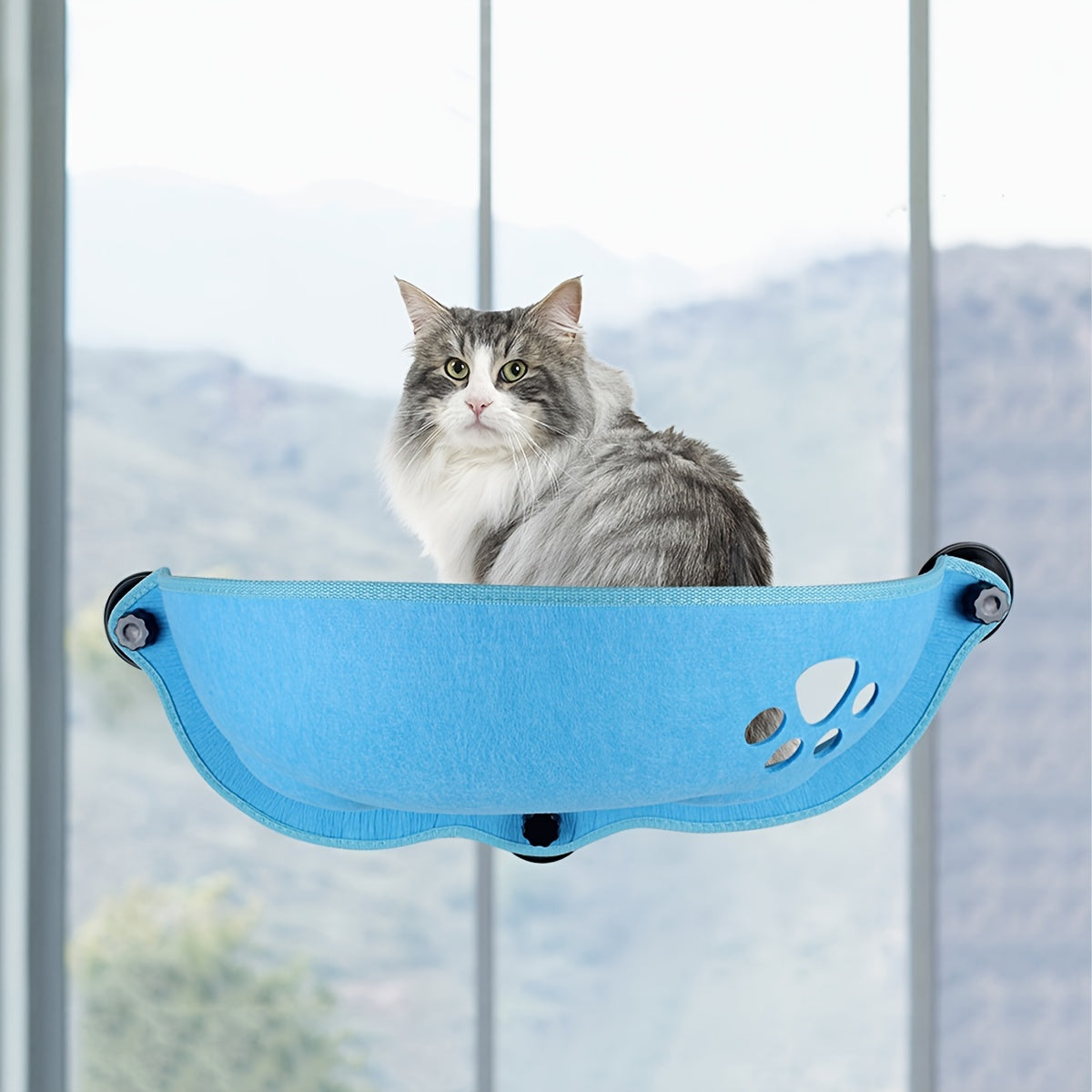 Crescent-shaped suction cup cat hammock for small and medium cats to sleep in sunlight.