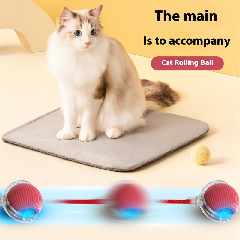 USB rechargeable interactive cat toy with sound, durable ball, suitable for all breeds, relieves boredom.