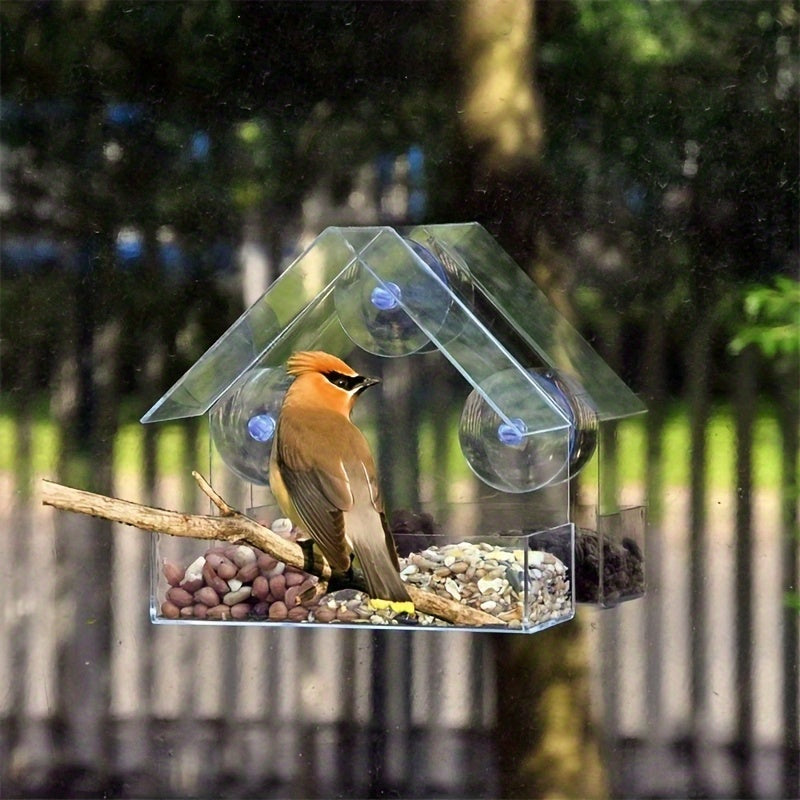 Durable clear acrylic bird feeder with suction cup for all bird species, easy to clean and perfect for window installation.