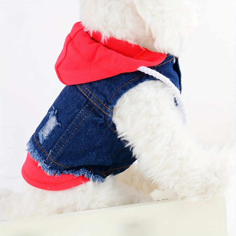 Dog jeans jacket hoodie for small dogs, autumn apparel.