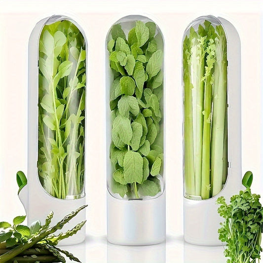 Set of 3 Transparent Containers to Keep Vegetables and Fruits Fresh - Herb Storage Containers, Handy Kitchen Tool for Preserving Freshness for a Short Period of Time