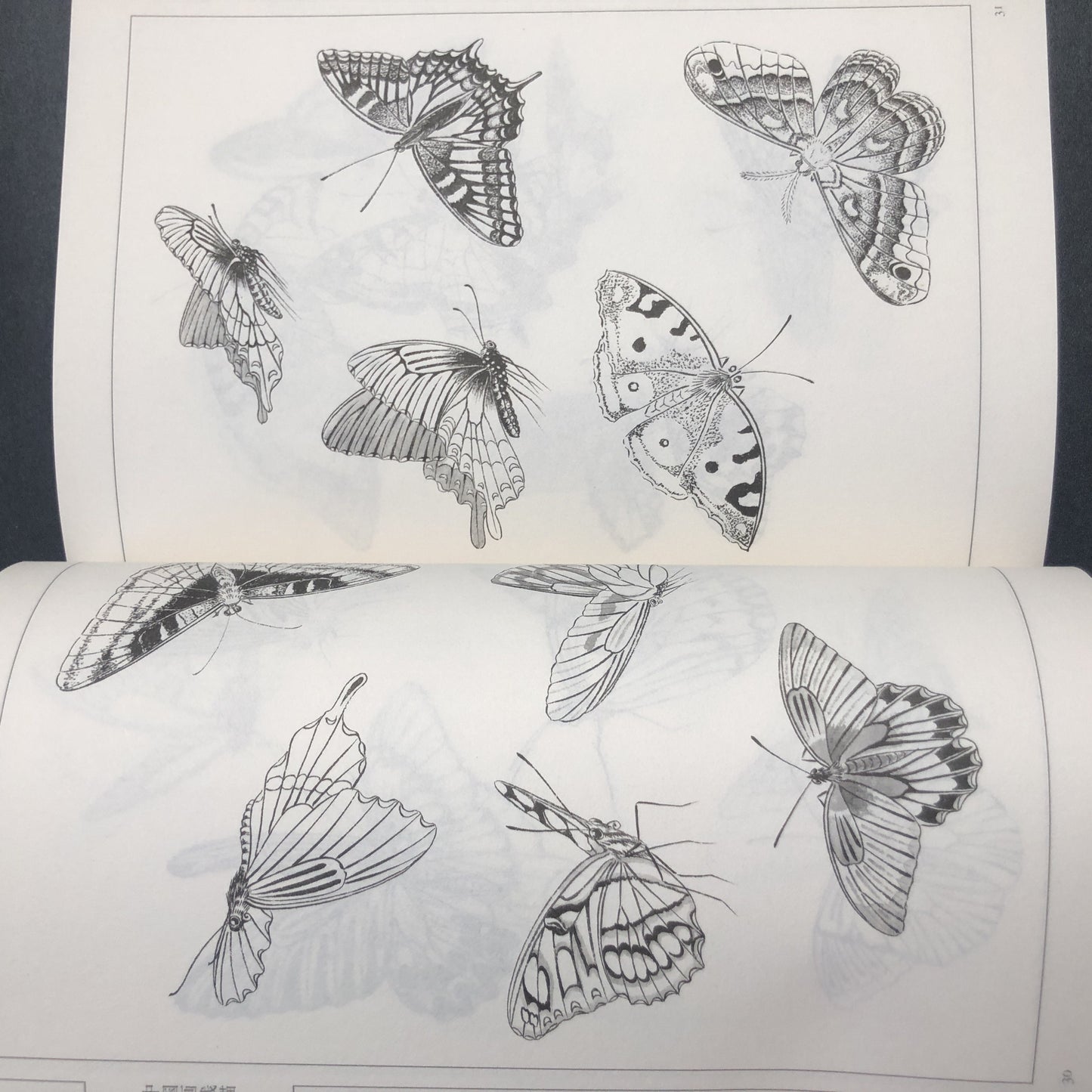 Chinese version of Painting Book of Hundred Butterflies, with line drawing.