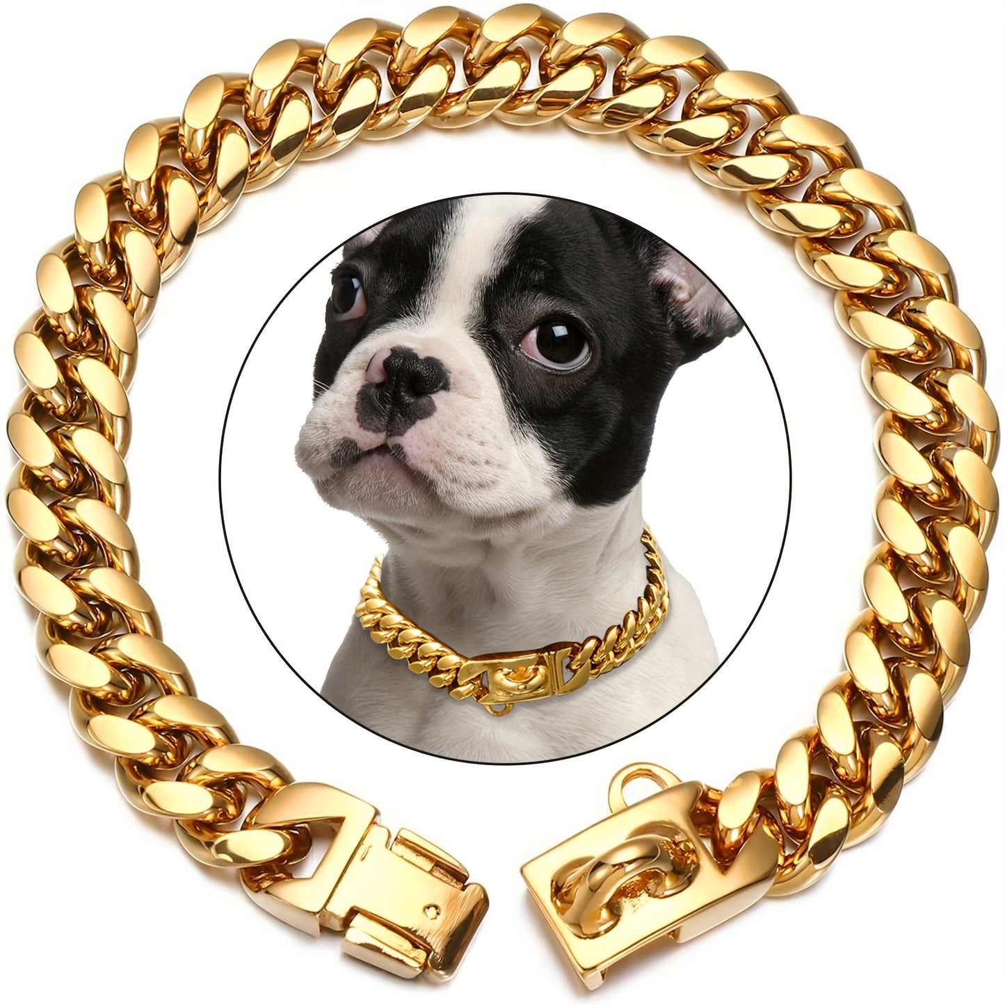 Stainless steel dog collar with gold chain and buckle, waterproof and anti-chew.