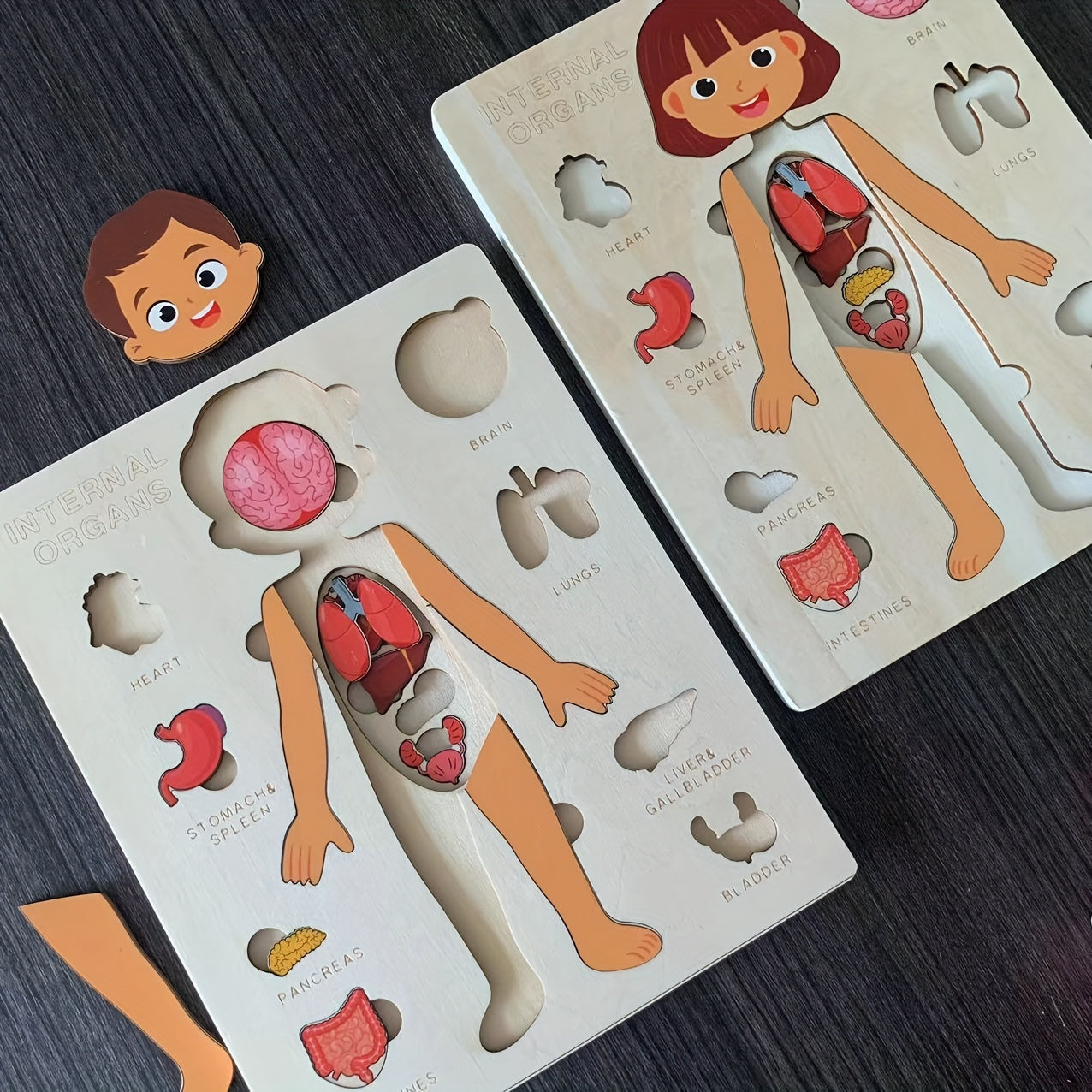 Children's Wooden Puzzle of the Human Body, Educational Tabletop Toy for Early Childhood Development, Encourages Parent-Child Interaction, Perfect for Mother and Baby Bonding, Ideal Toy for Children