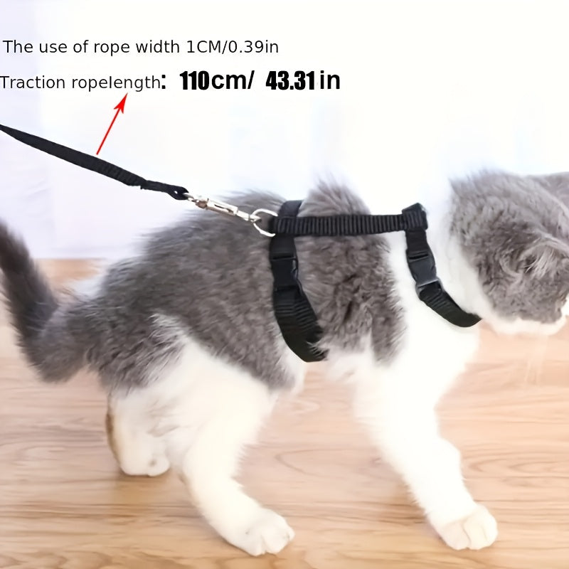 Safe and comfortable cat harness and leash set for kittens to keep them secure and happy.