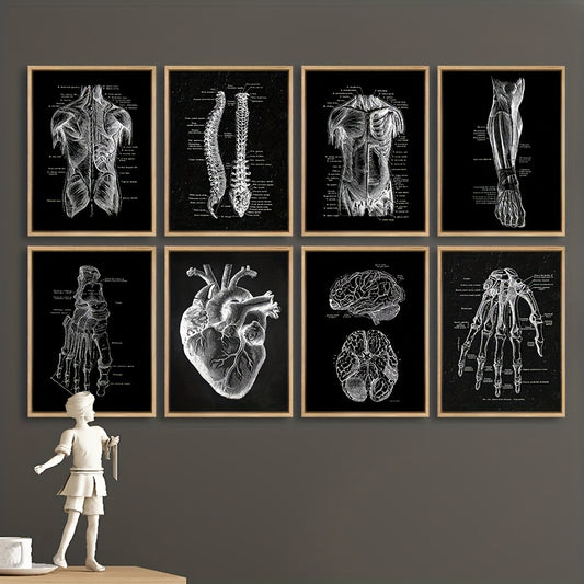 Set of 8 vintage anatomy posters for home decor, waterproof and frameless, available in two sizes: 19.99x29.97cm and 29.97x39.88cm. Perfect for living rooms, bedrooms, bars, and cafes.