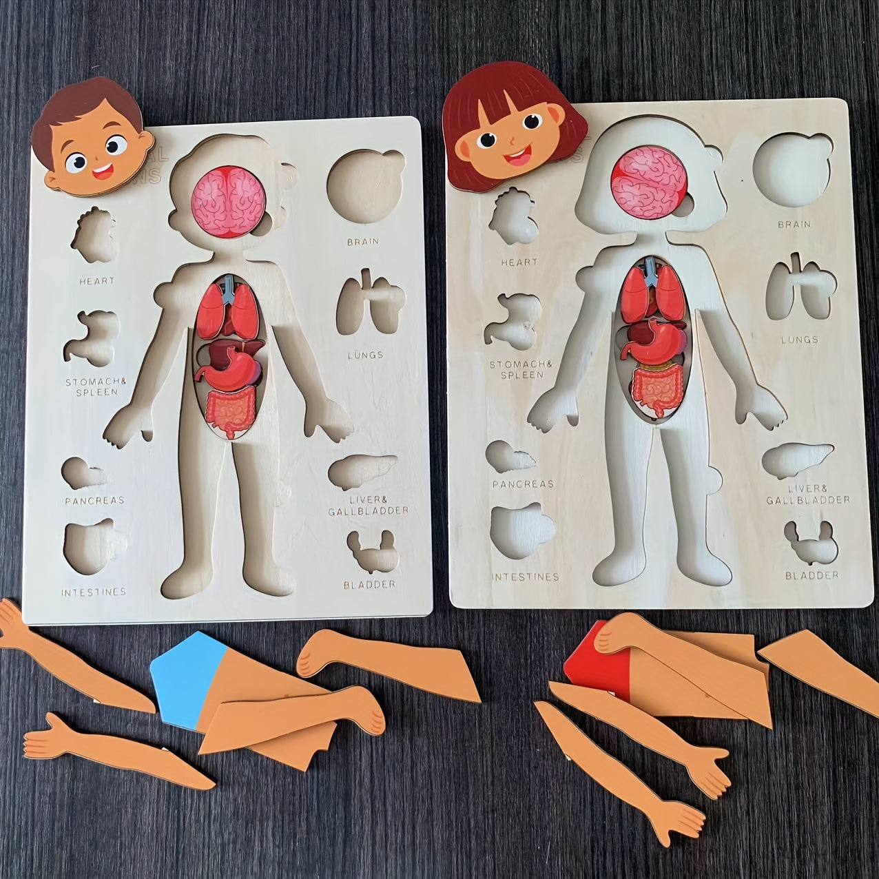 Children's Wooden Puzzle of the Human Body, Educational Tabletop Toy for Early Childhood Development, Encourages Parent-Child Interaction, Perfect for Mother and Baby Bonding, Ideal Toy for Children