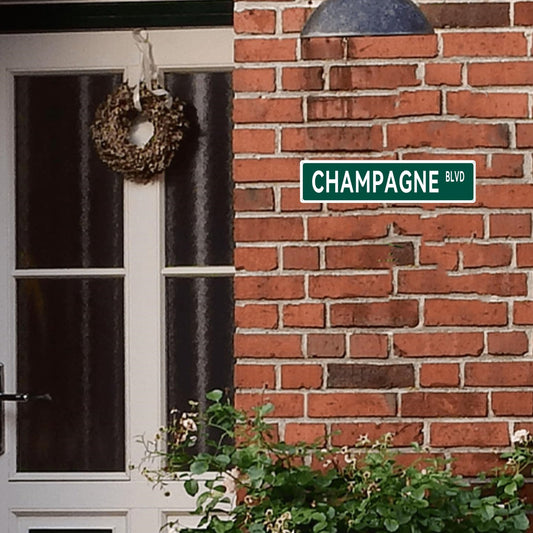 Add a touch of glam to your space with our chic "CHAMPAGNE BLVD" metal tin sign! Perfect for home, room, restaurant, bar, cafe, garage, or farmhouse decor. Size: 15.75"x3.94"/40x10cm. #novelty #streetstyle #decorinspo