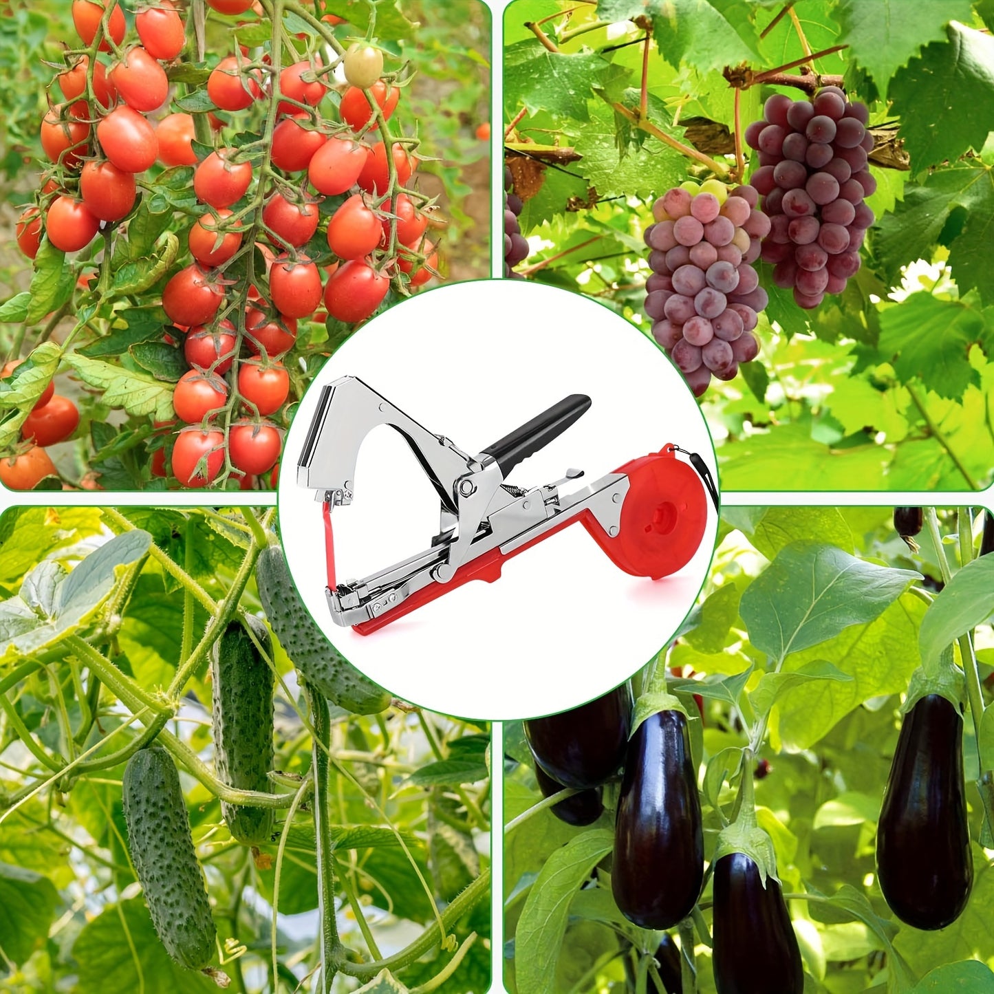 Plant tying machine for various plants like grapes, raspberries, tomatoes, vining vegetables, and flowers.